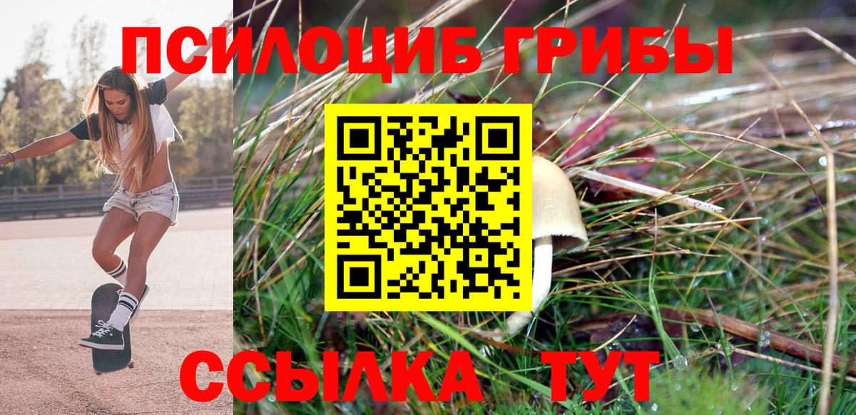 Псилоцибиновые грибы Psilocybine cubensis Арзамас