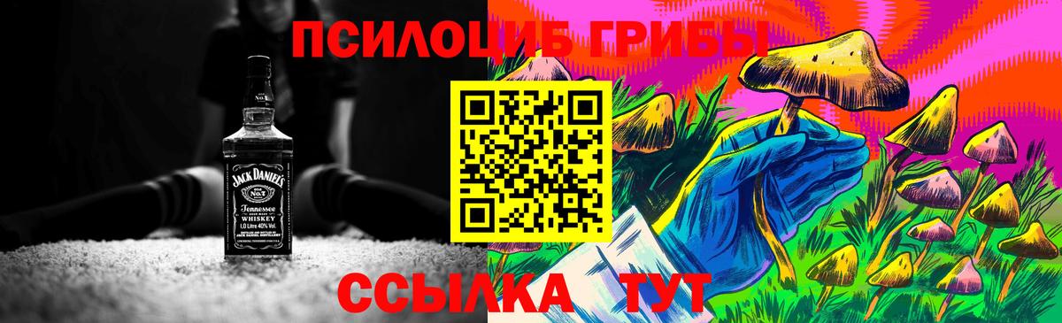 Псилоцибиновые грибы мицелий  Галлюциногенные грибы мухоморы  магазин  наркотиков  Вход с VPN  Арзамас 